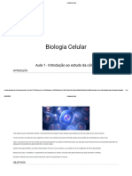 Aula 1.pdf