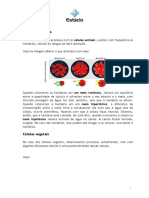 Celula Animal e Vegetal PDF
