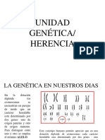 Herencia PDF