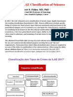 Classificação crises 2017-Publico -traduçao.pptx