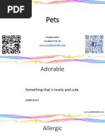 Pets Flashcards