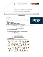 separataentomologia 01