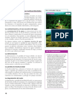Principales Problemas Medioambientales PDF