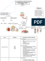 Evidencia Conceptualizacion y Clasificac