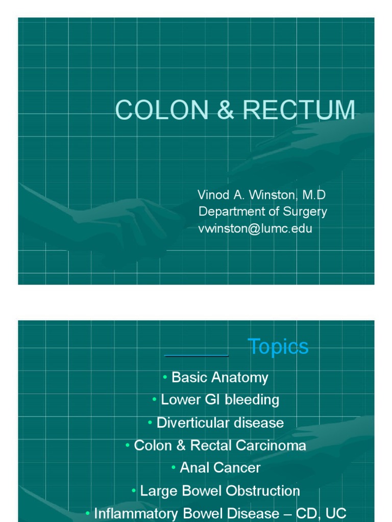 Lower GI Disorders: Anatomy & Bleeding | PDF | Colonoscopy | Large ...