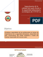 Suelos - CIP PDF