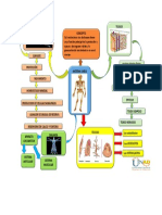 Mapa Conceptual