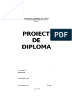 Licenta TCM PDF