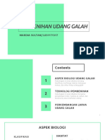 Pembenihan Udang Galah - Mardia Sultan - L031171317 PDF