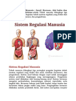 Sistem Regulasi Manusia