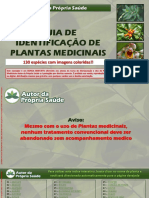 Guia Identificação de Plantas Medicinais_Alunos APS.pdf