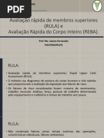 Análise Ergonômica com Método RULA | PDF | Fatores humanos e Ergonomia