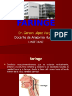 FARINGE ACTUALIZADO 06.11.16.pptx