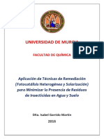 Tesis Isabel Garrido Martín PDF