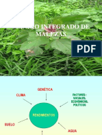 Manejo Integrado de Malezas