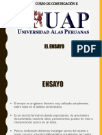 ENSAYO (1).pdf