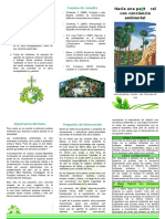 Pastoral Con Conciencia Ambiental