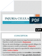 Injuria Celular CPP PDF