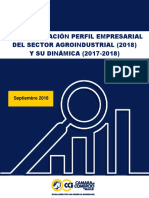 Perfil Empresarial Del Sector AgroIndustrial PDF