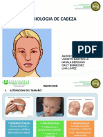 Semiologia de Cabeza