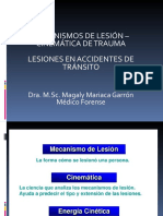 Lesiones Transito 4