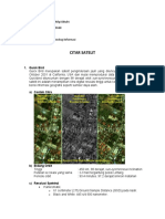 7 Macam-Macam Citra Satelit