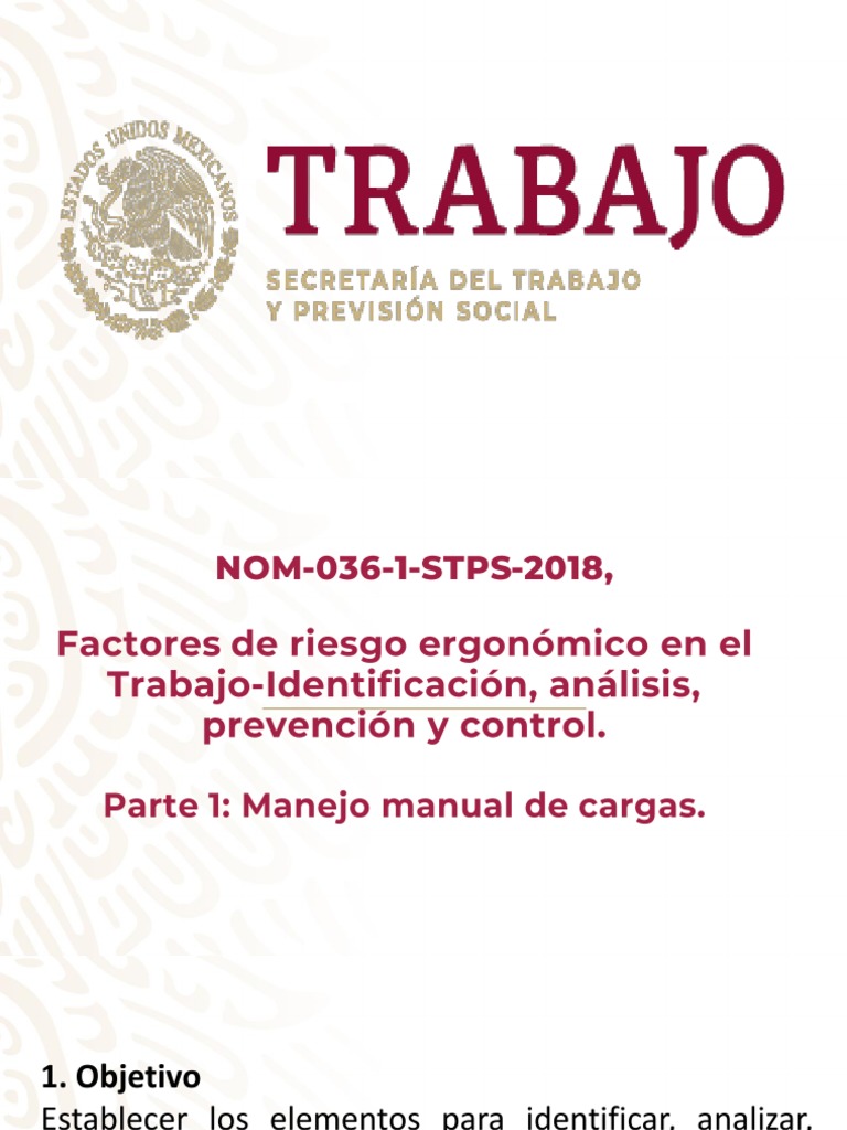 Manejo Manual de Cargas: Norma 036 STPS | PDF | Factores humanos y ...