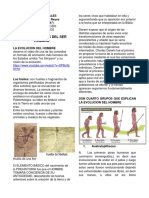 Evolución del hombre