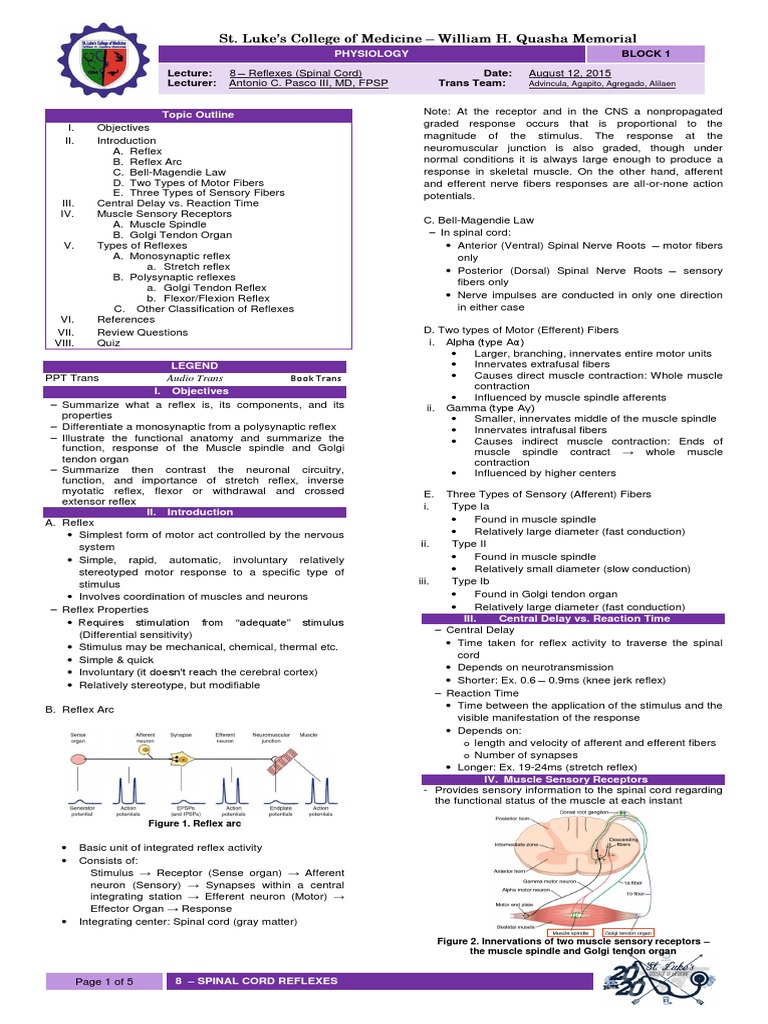Spinal Cord Reflexes Overview | PDF | Motor Neuron | Neurophysiology