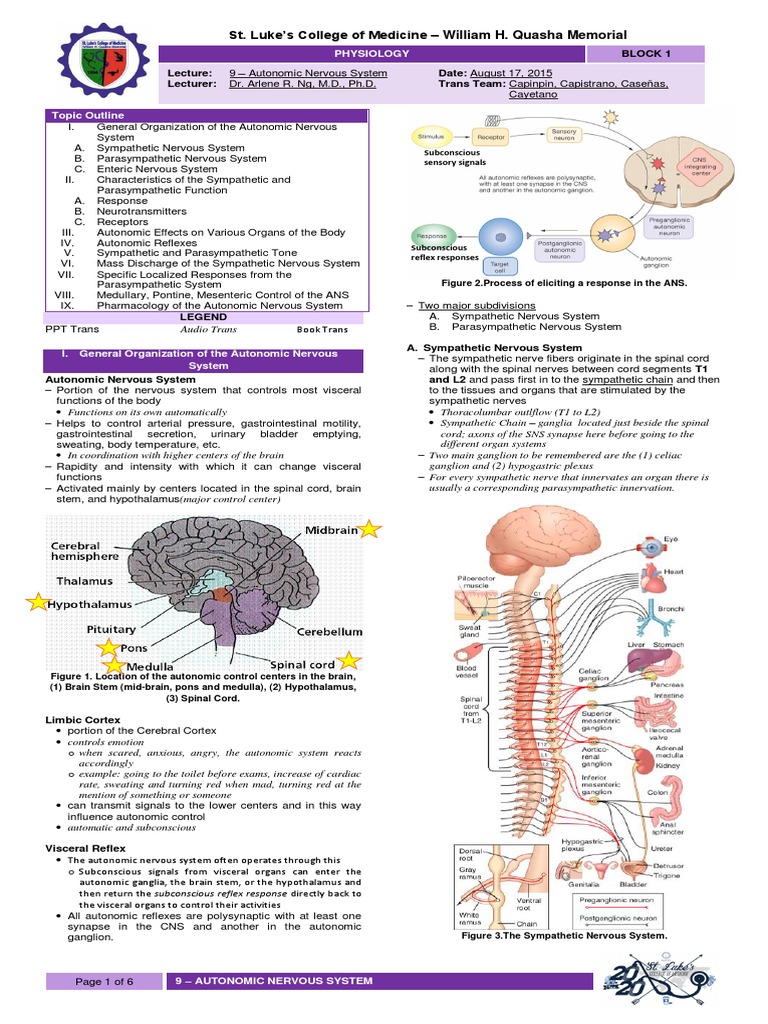 Autonomic Nervous System Overview | PDF | Autonomic Nervous System ...