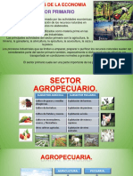 Sectores Eco de Produccion