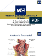 Ppt-Patologia Quirugica Ano Rectal-Pr PDF