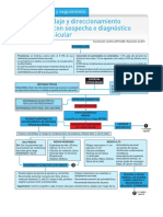 Guia Abordaje Itiasis Vesicular