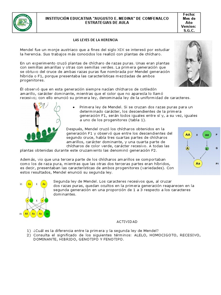 Las Leyes de La Herencia PDF Dominancia (Genética) Genética