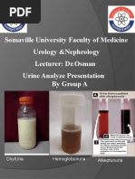 Normal Urine Routine Examination Report | PDF | Urine | Kidney