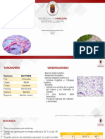 Bacillus cereus en arroz cocido