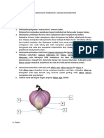 Soal Post Test Organ Metamorfosis