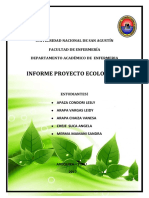 Informe Proyecto Ecologico