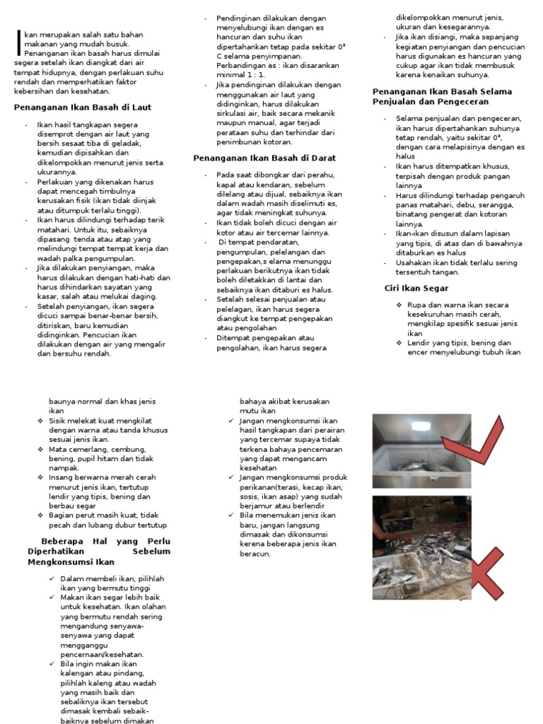 Leaflet Penanganan Ikan Segar | PDF