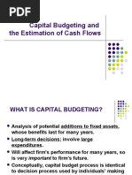 Capital Budgeting and Cash Flows Estimation (2008)