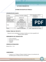 Respuestas Conformación de Equipos Fase Organizativa