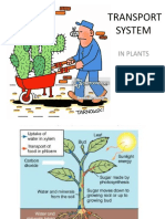 Transport System Plants