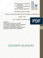 LESIONESROJASYBLANCAS