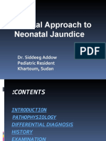 Clinical Approach to Neonatal Jaundice