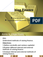 Raising Finance (Autosaved)