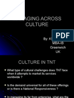 Cultural Challenges