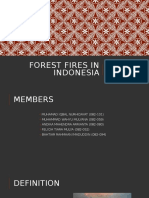 FOREST FIRES IN INDONESIA