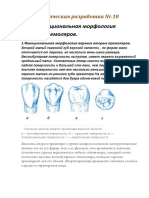 Методическая разработка 10