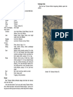 3 153 PDF