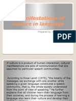 Manifestations of culture in language through idioms and peculiar customs